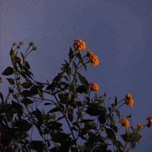 谢梓秋全见twitter
